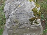 image of grave number 491230